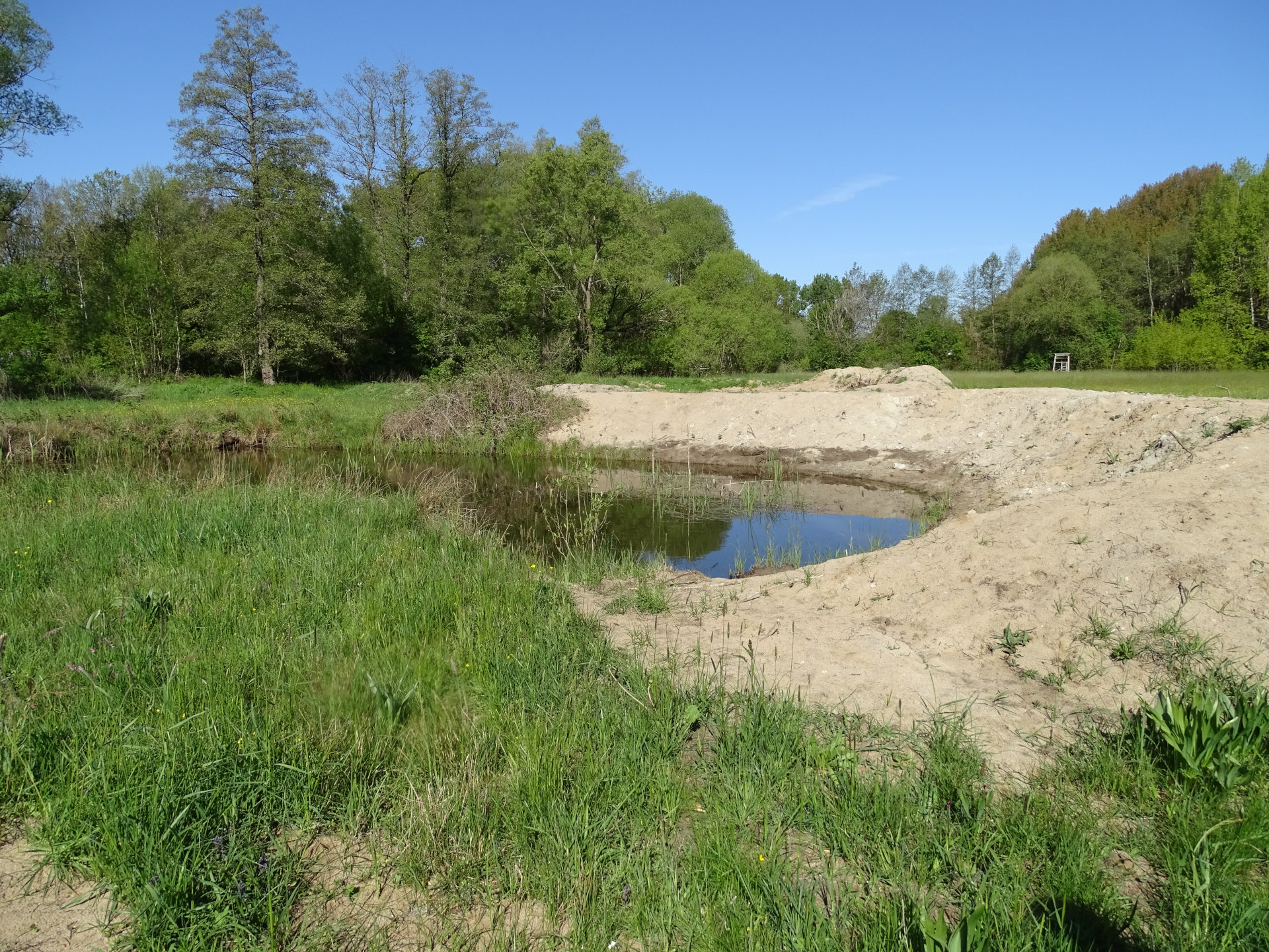 Amphibientuempel Panorama