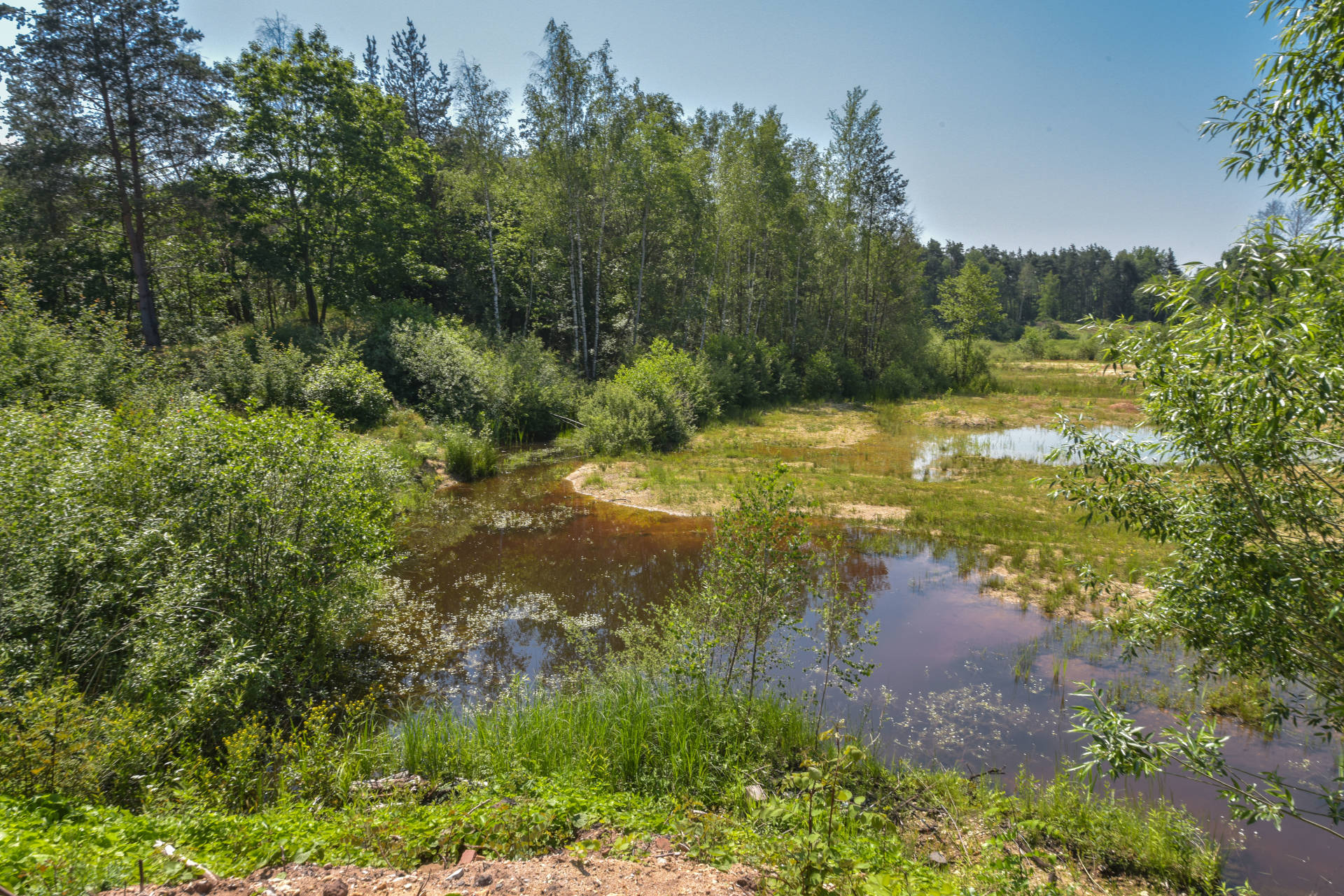 Naturschutzgebiet Föhrenbuck