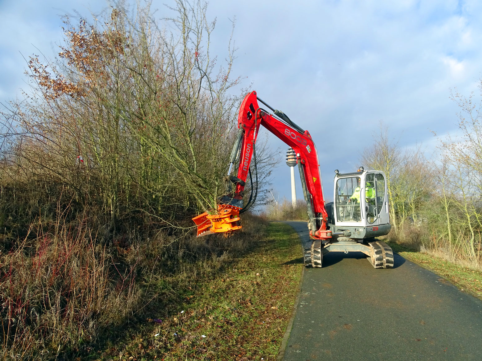 schweinauer buck gehoelze2