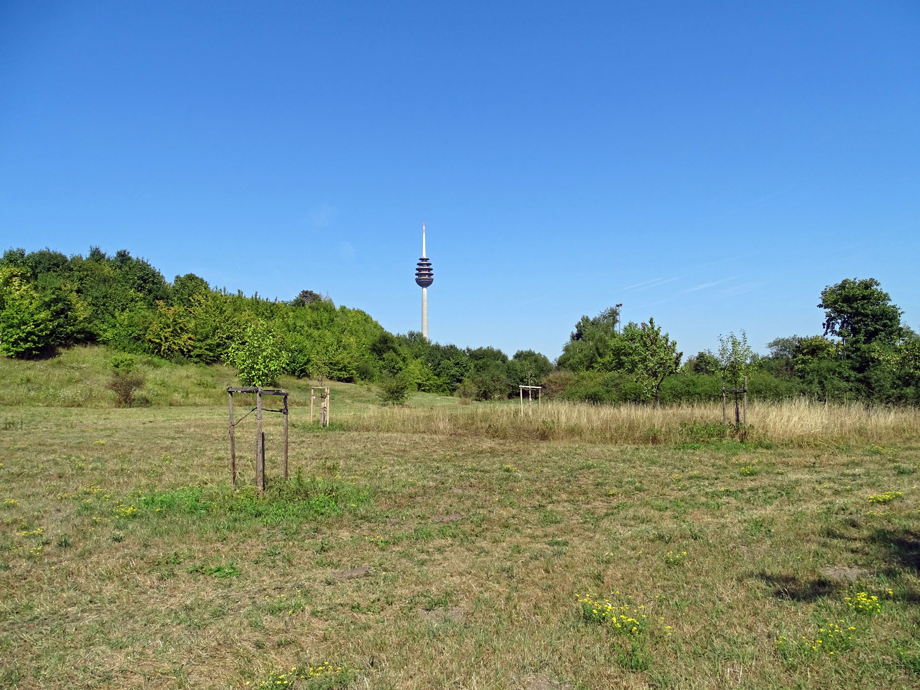 schweinauer buck panorama